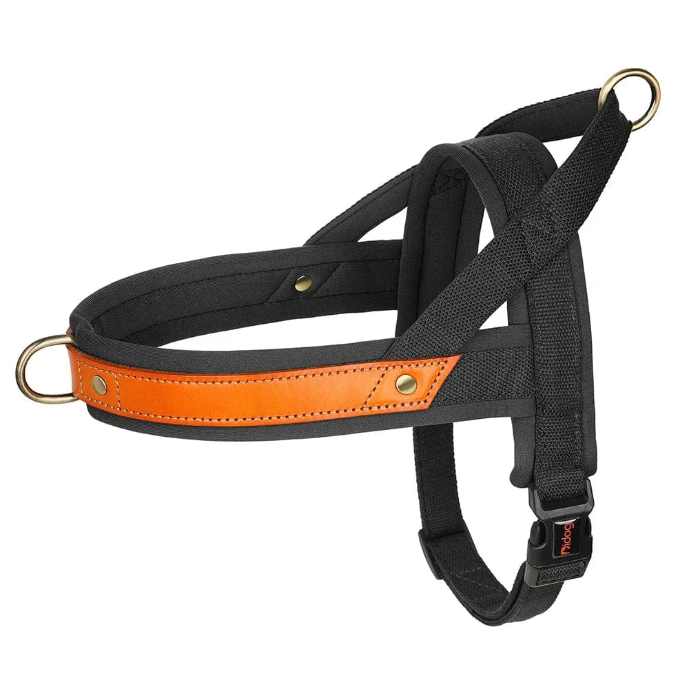 ZEDAPaw Black / XS No-Pull Dog Harness