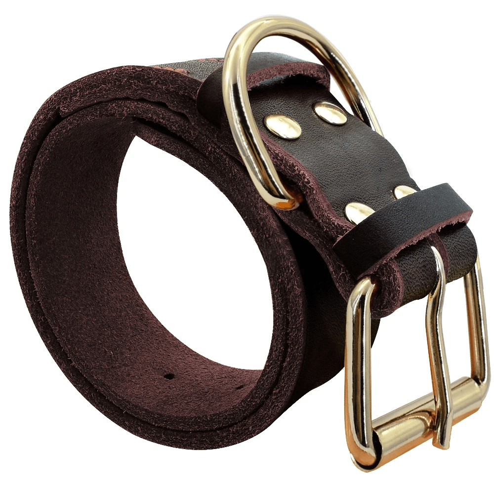 ZEDAPaw Brown / S Genuine Leather Dog Collar