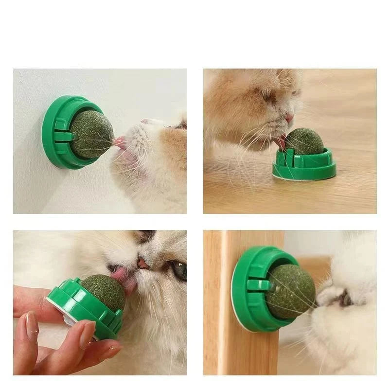 ZEDAPaw Catnip Wall Ball Toy