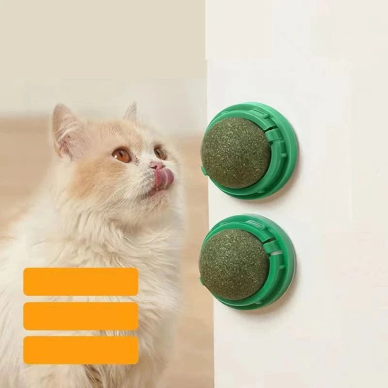 ZEDAPaw Catnip Wall Ball Toy