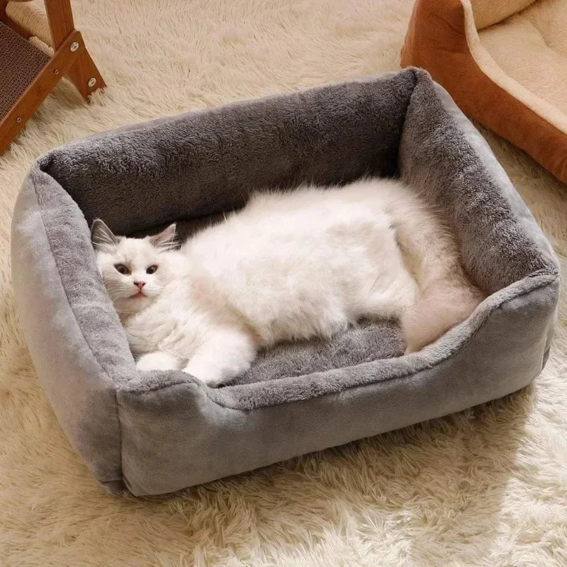 ZEDAPaw Cozy Cushion House for Cats, Kittens & Small Dogs