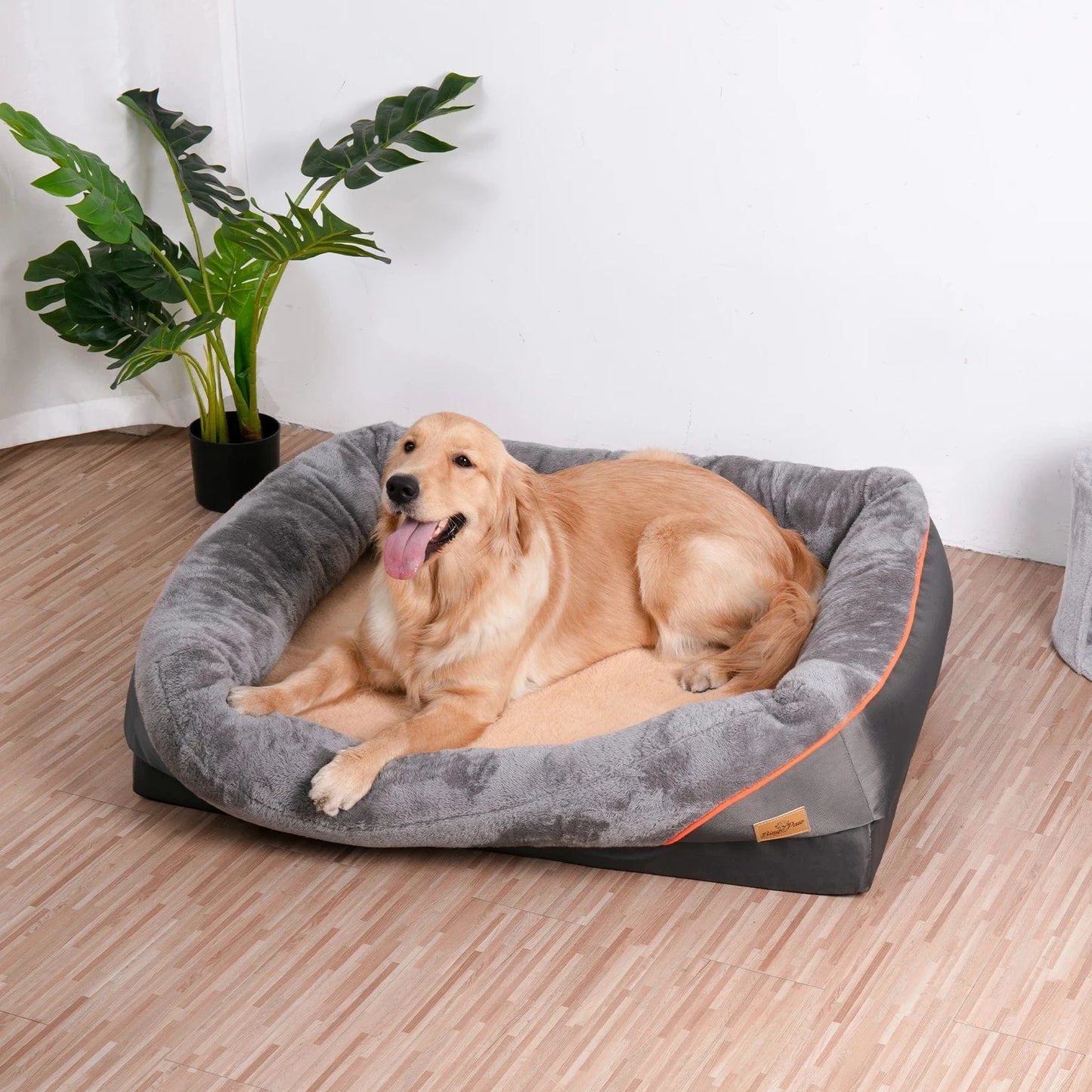 ZEDAPaw Dark Gray / 69x51 Premium Orthopedic Dog Bed with Bolster