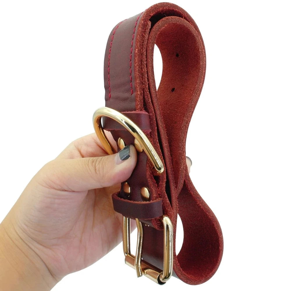 ZEDAPaw Genuine Leather Dog Collar