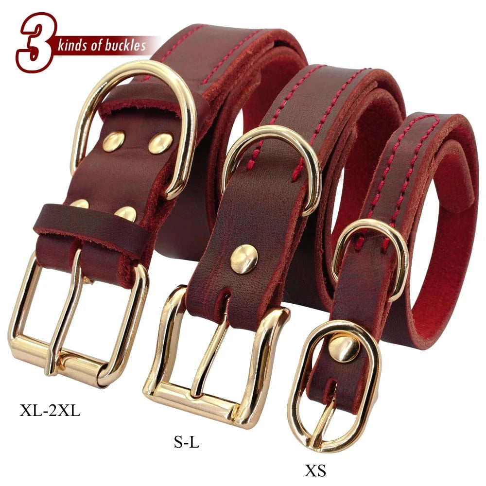 ZEDAPaw Genuine Leather Dog Collar