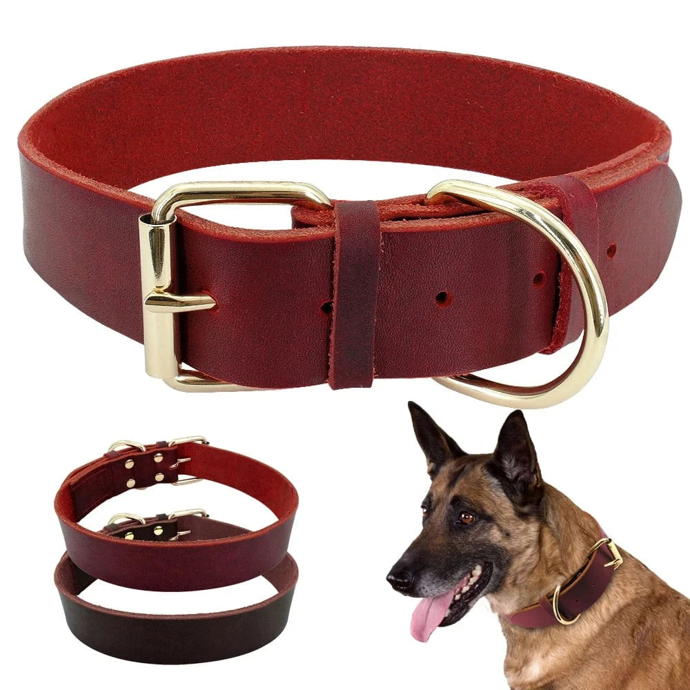 ZEDAPaw Genuine Leather Dog Collar