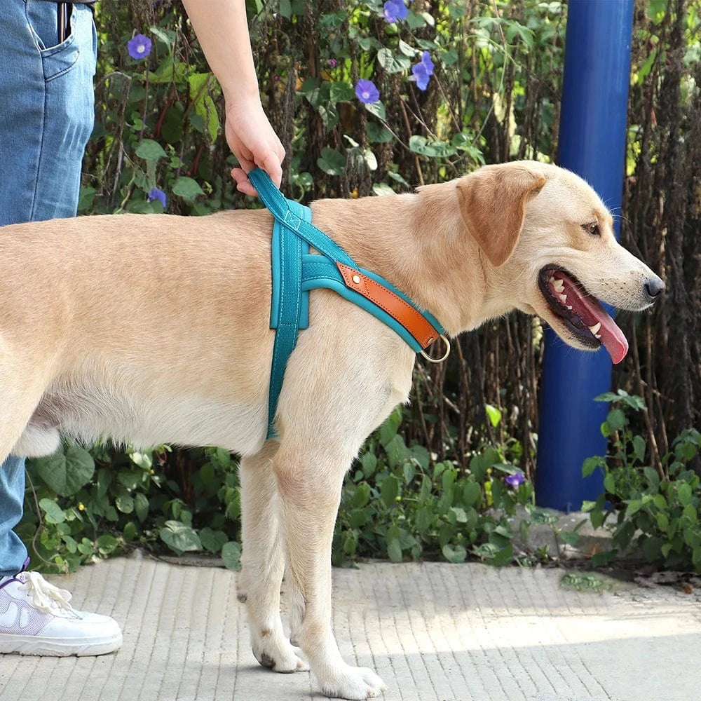 ZEDAPaw No-Pull Dog Harness