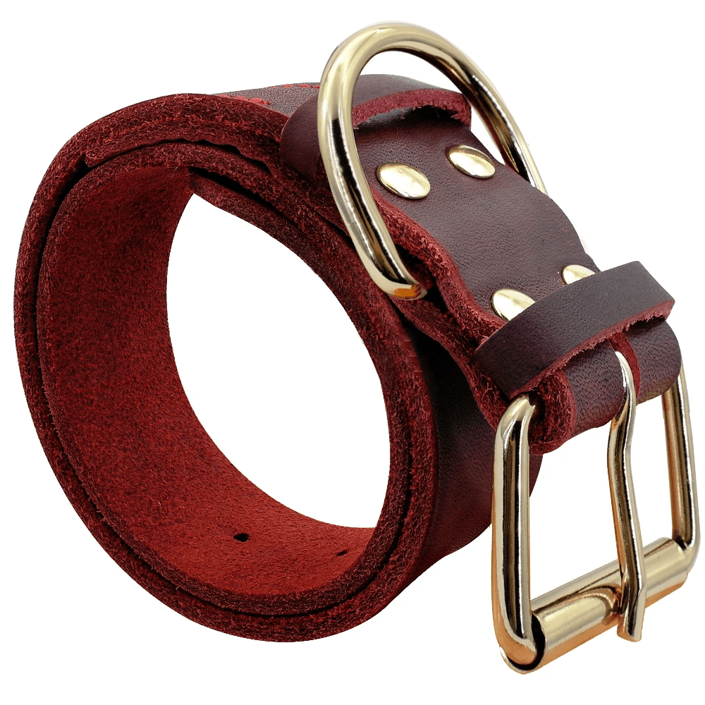ZEDAPaw Red / XS Genuine Leather Dog Collar