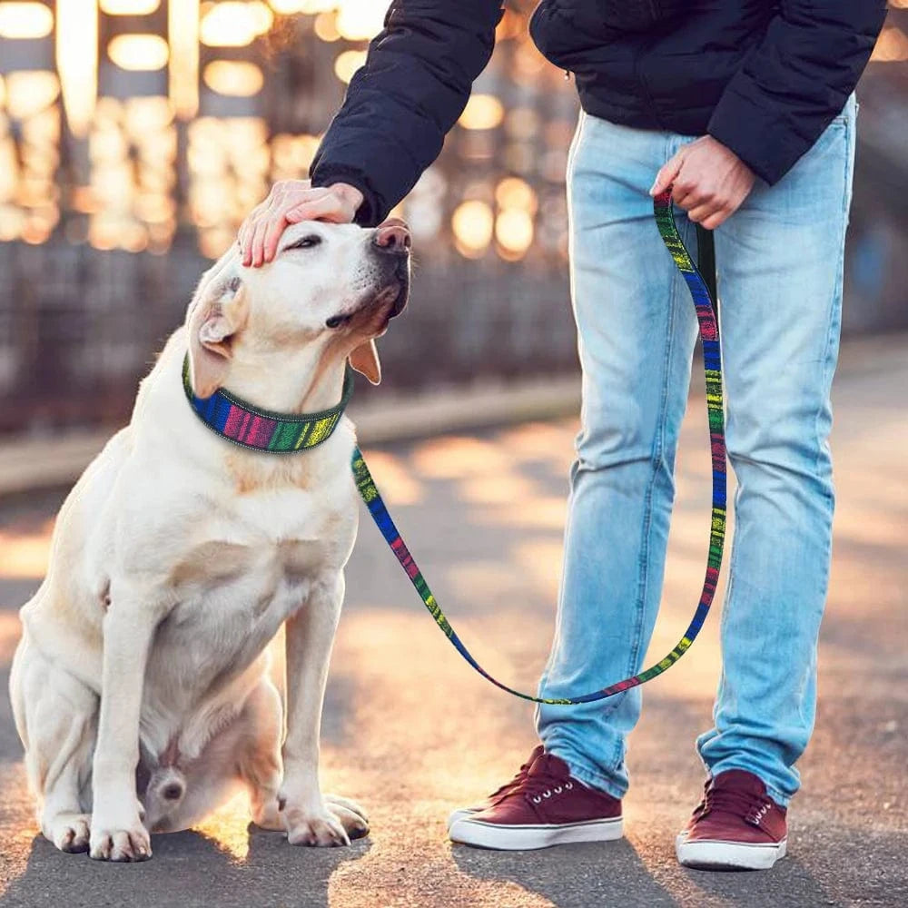 ZEDAPaw Reflective Nylon Dog Collar & Leash Set