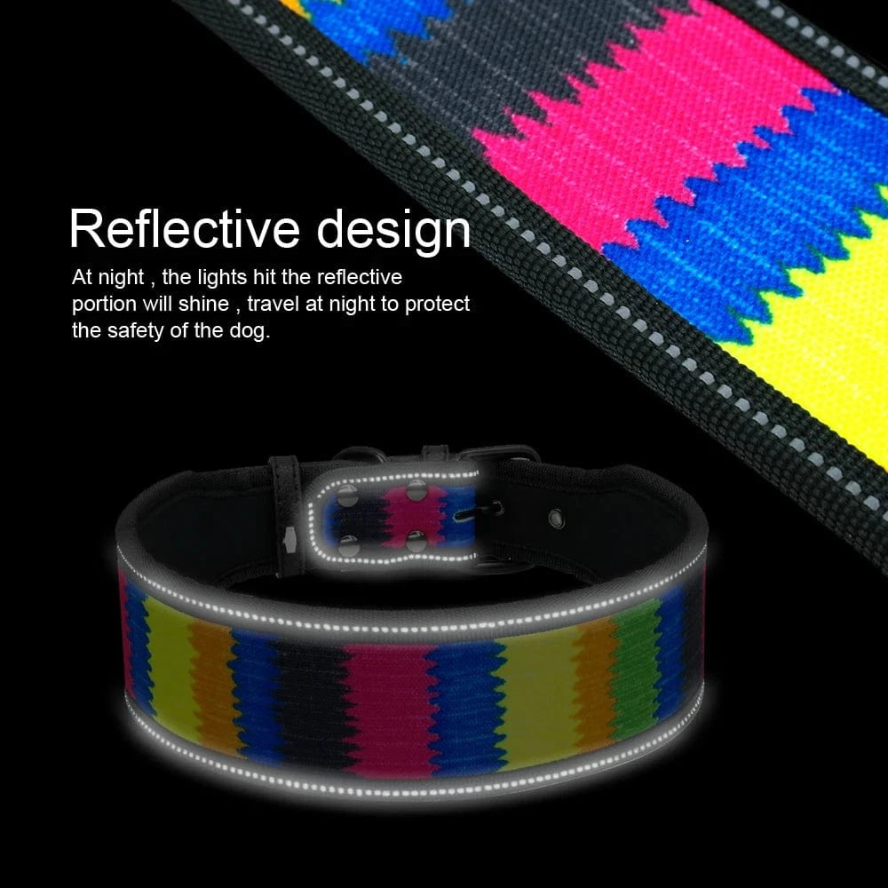 ZEDAPaw Reflective Nylon Dog Collar & Leash Set