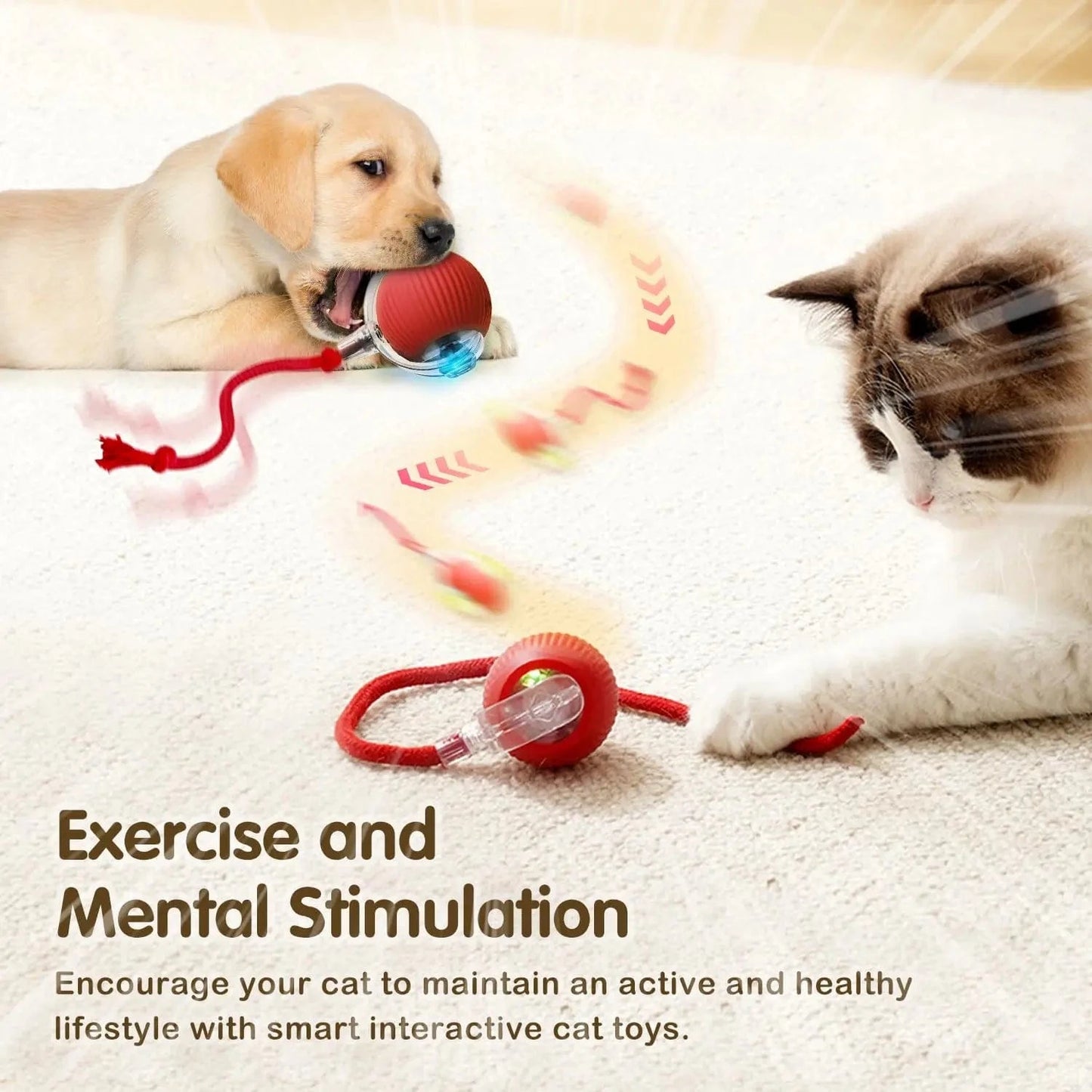 ZEDAPaw Smart Rolling Interactive Cat Ball Toy