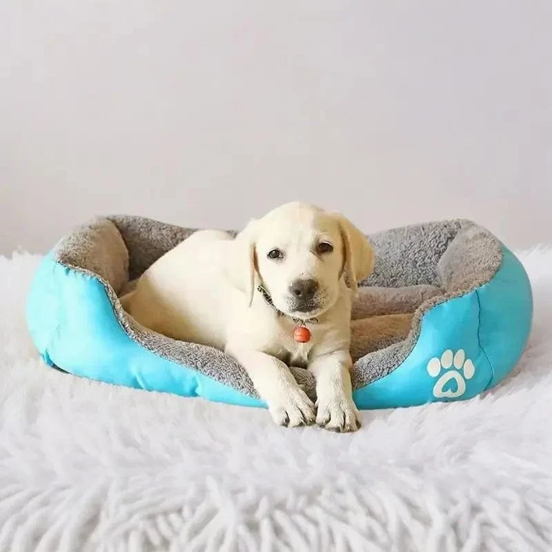 ZEDAPaw Soft Breathable Kennel House for Cats & Small to Medium Dogs