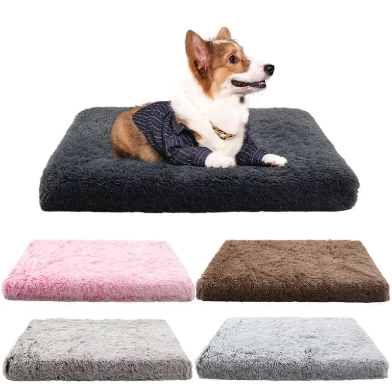ZEDAPaw Super Soft Calming Cushion for Dogs, Cats & Puppies