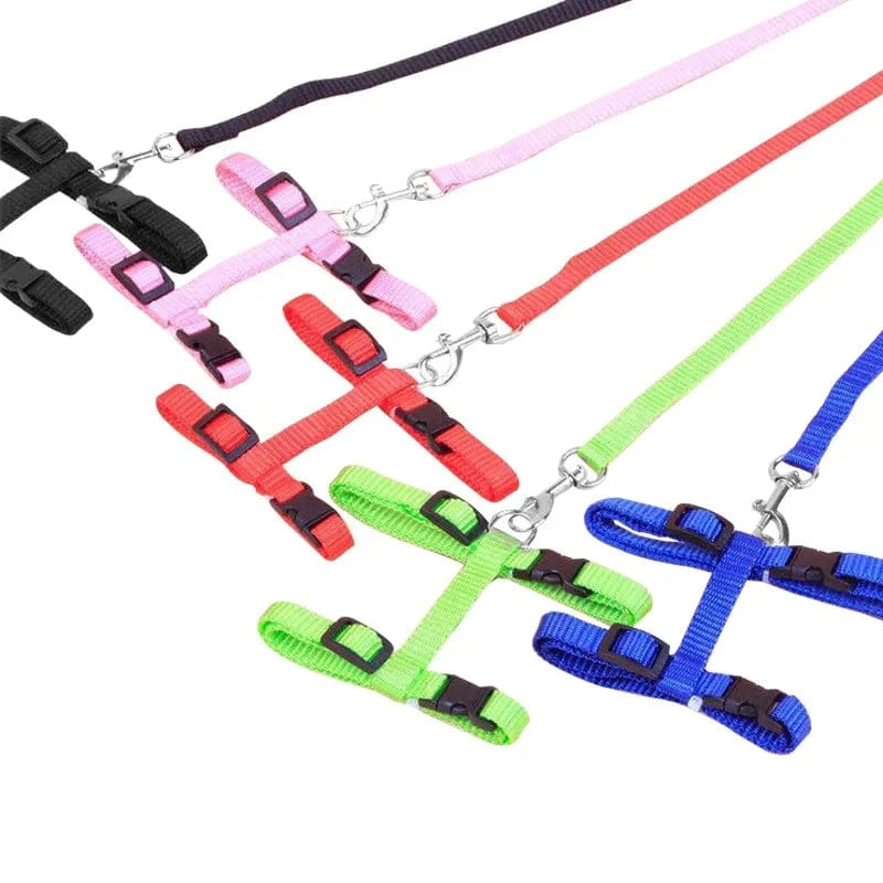 ZEDAPaw Adjustable Cat Chest Strap for Safe Outdoor Walks