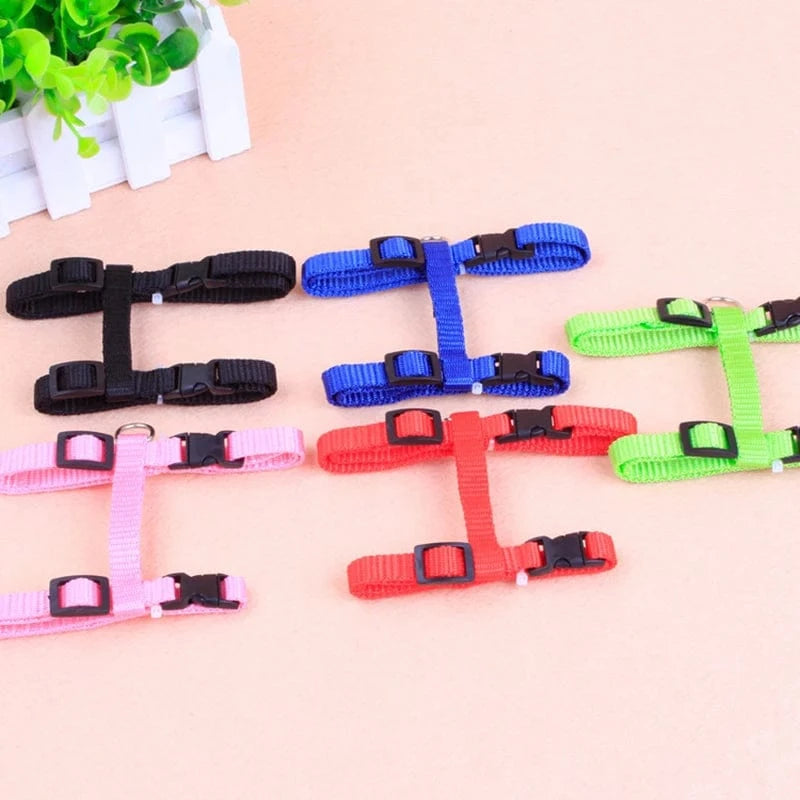 ZEDAPaw Adjustable Cat Chest Strap for Safe Outdoor Walks