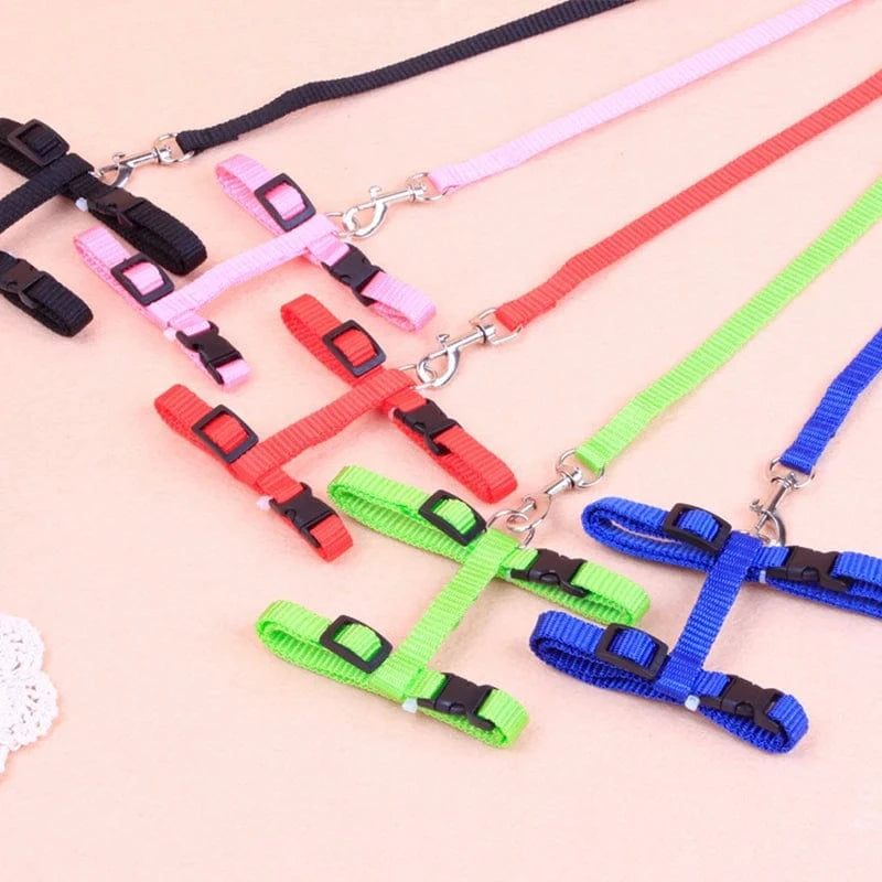 ZEDAPaw Adjustable Cat Chest Strap for Safe Outdoor Walks
