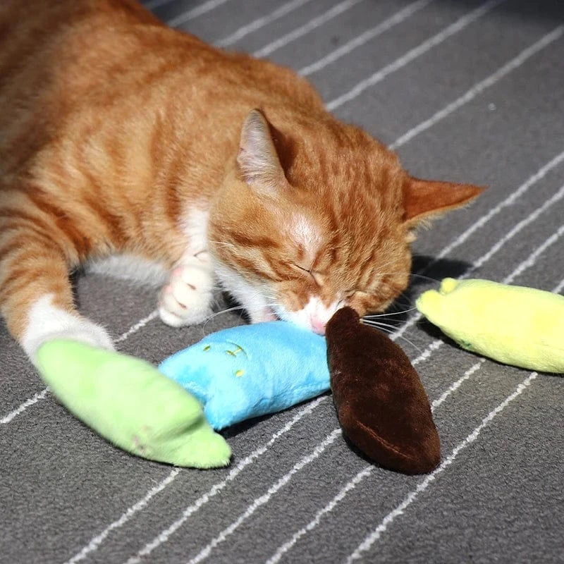 ZEDAPaw Catnip Plush Chew Toy