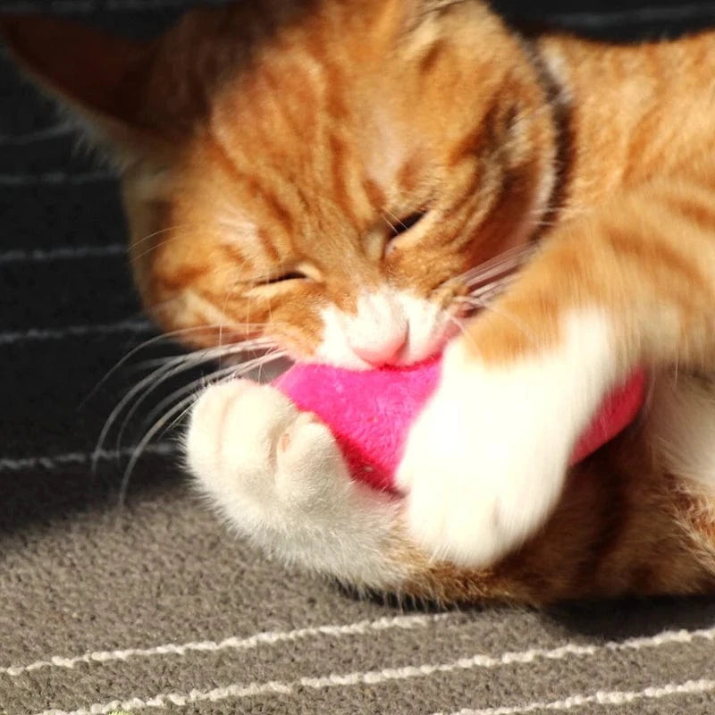 ZEDAPaw Catnip Plush Chew Toy