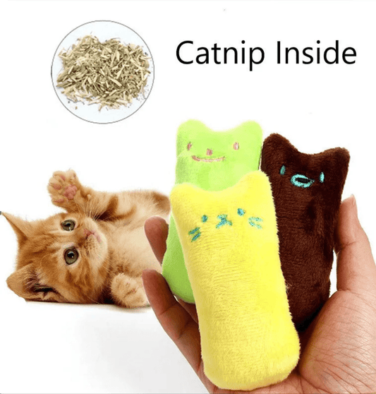 ZEDAPaw Catnip Plush Chew Toy