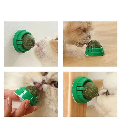 ZEDAPaw Catnip Wall Ball Toy