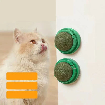 ZEDAPaw Catnip Wall Ball Toy