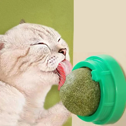 ZEDAPaw Catnip Wall Ball Toy