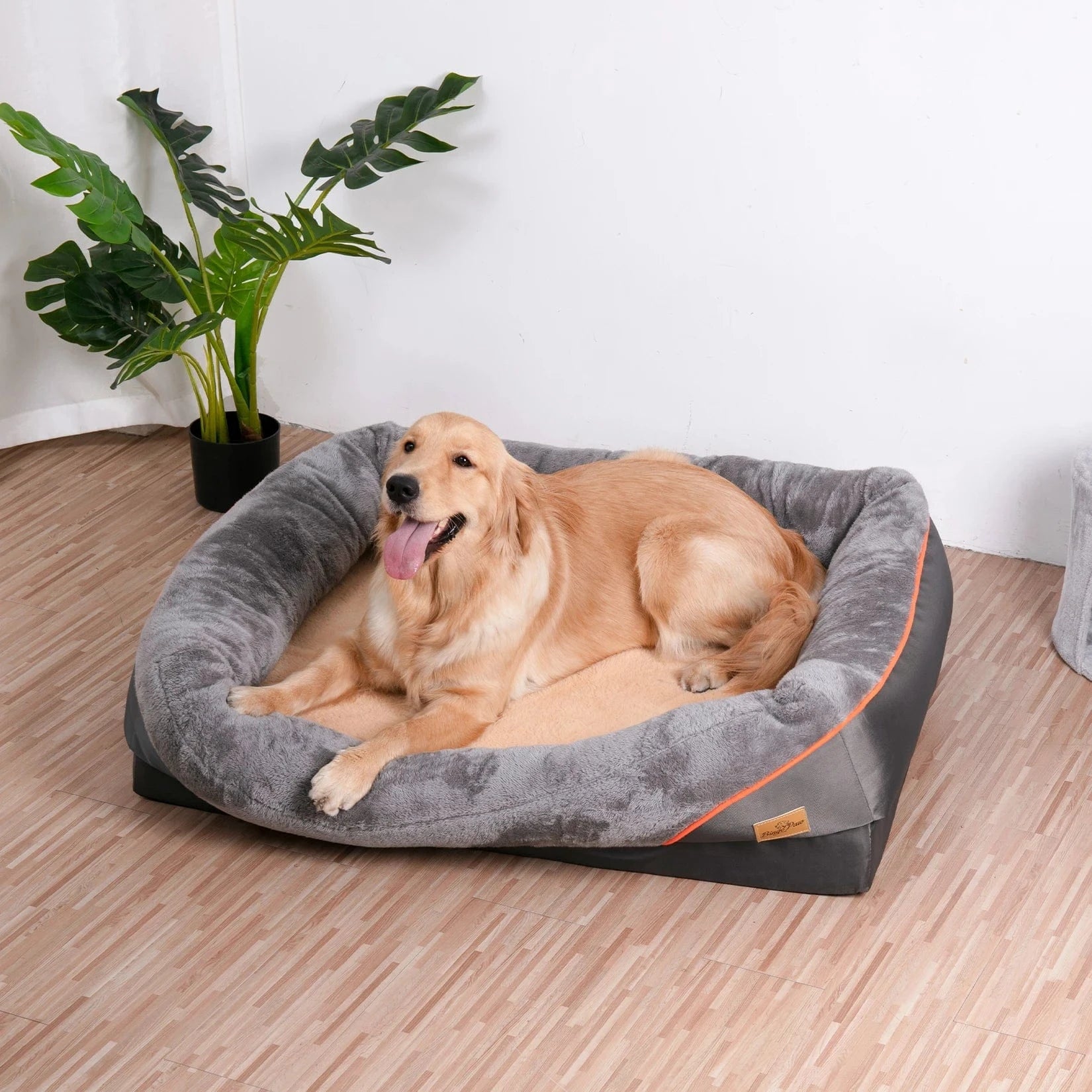 ZEDAPaw Dark Gray / 69x51 Premium Orthopedic Dog Bed with Bolster
