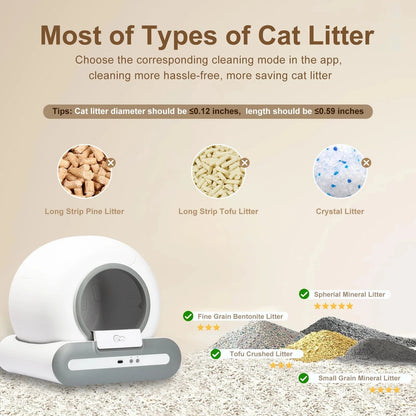 ZEDAPaw DOEL Self-Cleaning with App Control & Litter Mat