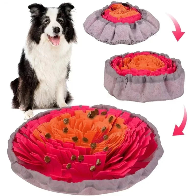 ZEDAPaw Foldable Dog & Cat Slow Feeder Training Mat