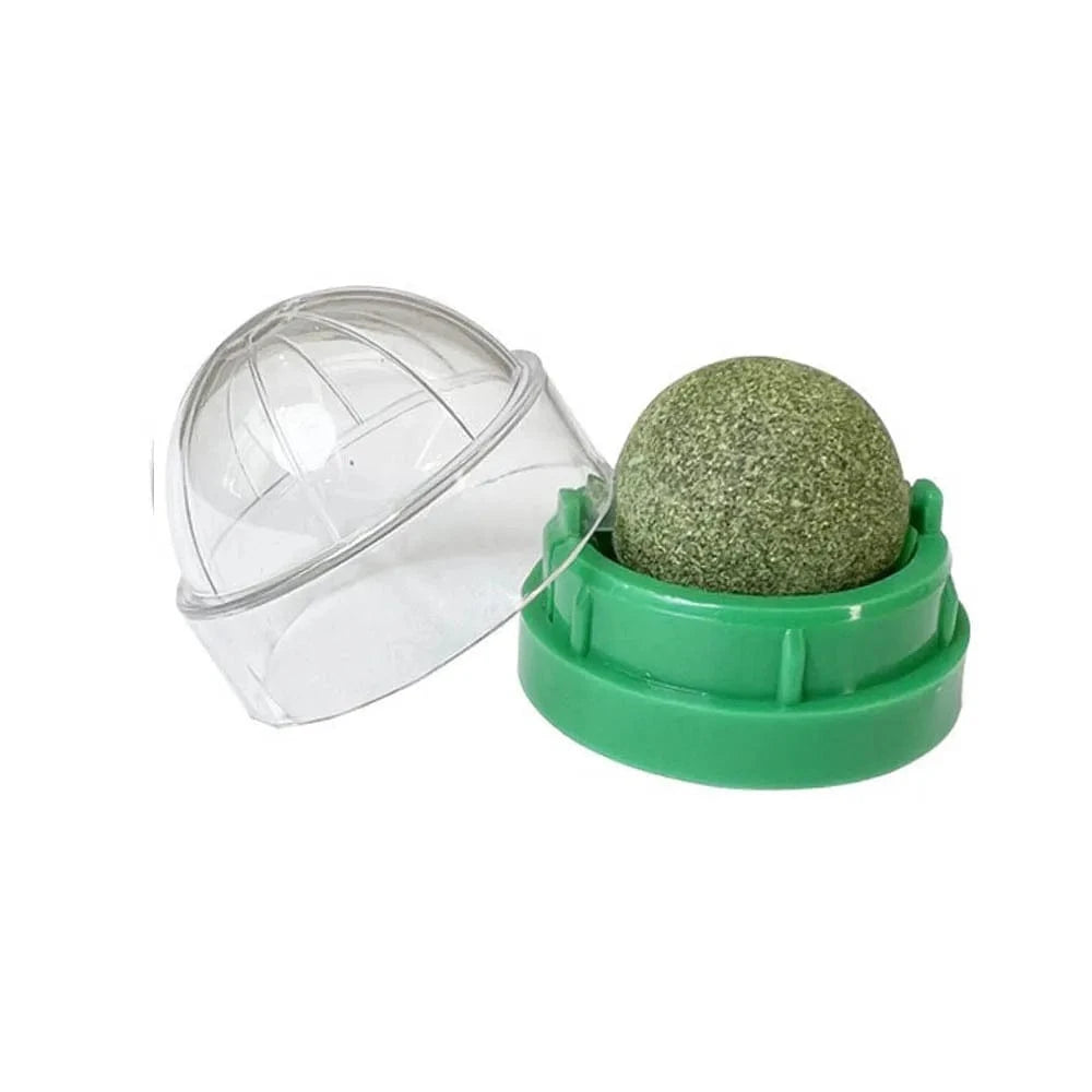 ZEDAPaw Green Catnip Wall Ball Toy
