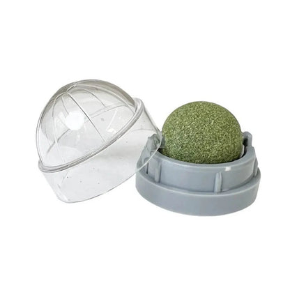 ZEDAPaw Grey Catnip Wall Ball Toy