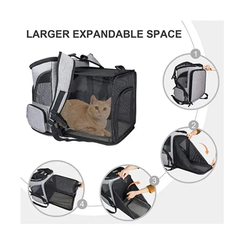 ZEDAPaw Large Capacity, Breathable & Foldable Travel Bag for Cats & Small Dogs