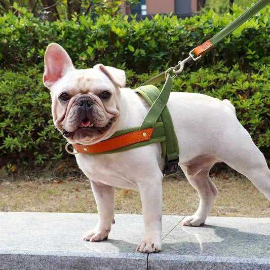 ZEDAPaw No-Pull Dog Harness
