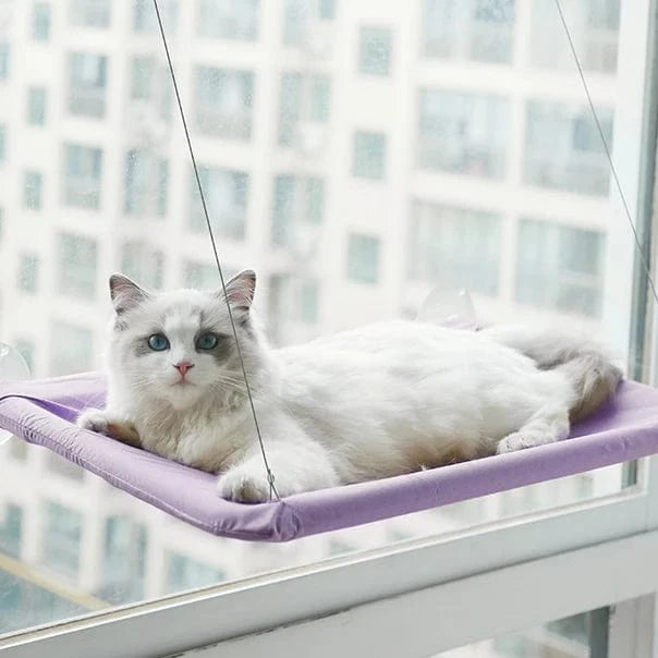 ZEDAPaw Purple Detachable Washable Pet Seat with Strong Suction Cups