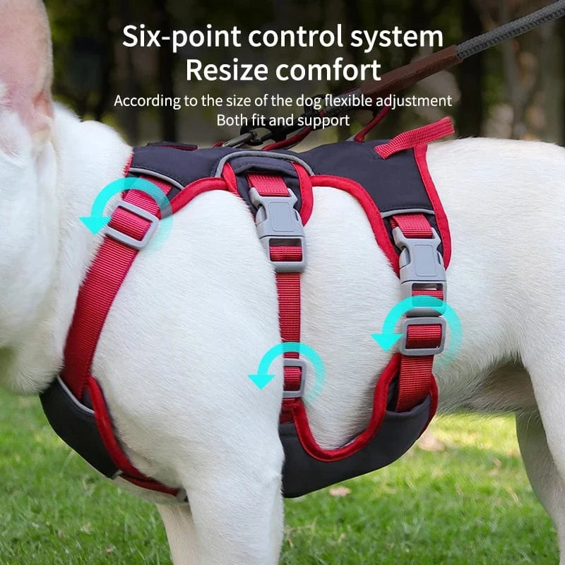 ZEDAPaw Reflective Dog Walking Harness No-Pull