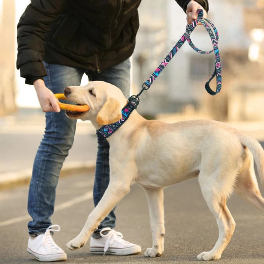 ZEDAPaw Reflective Nylon Dog Collar & Leash Set