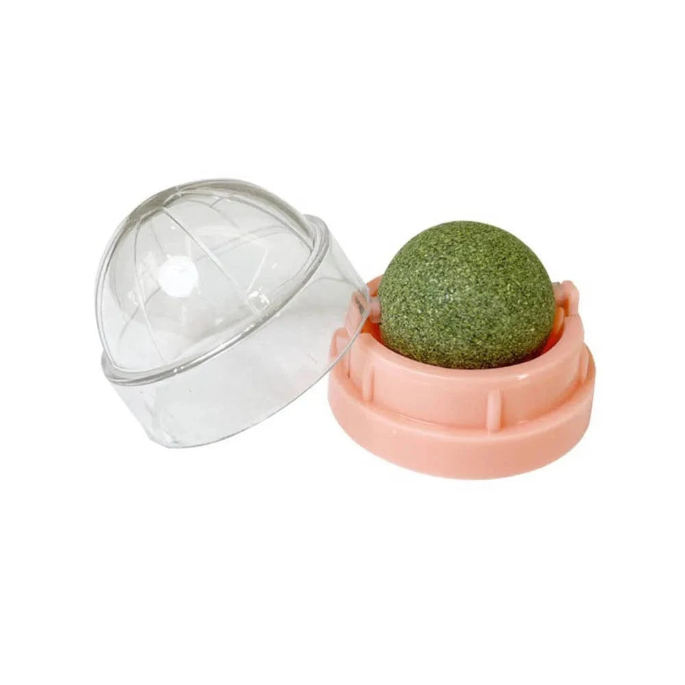 ZEDAPaw Rosa Catnip Wall Ball Toy