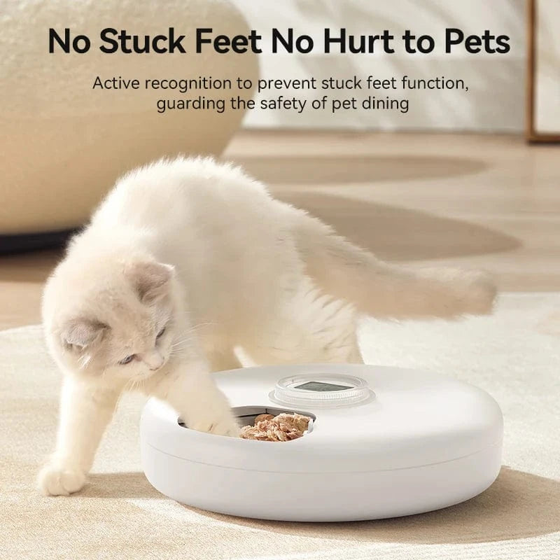 ZEDAPaw Shop White ROJECO 6-Meal Wireless Cat & Dog Food Dispenser for Wet & Dry Food