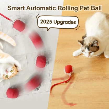 ZEDAPaw Smart Rolling Interactive Cat Ball Toy