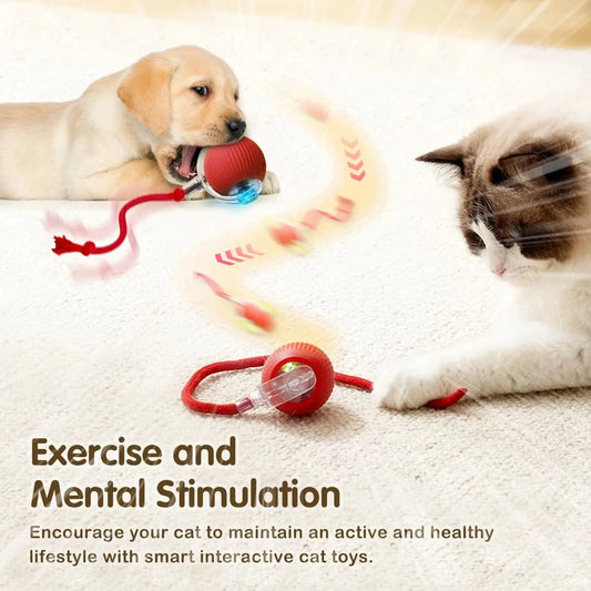 ZEDAPaw Smart Rolling Interactive Cat Ball Toy