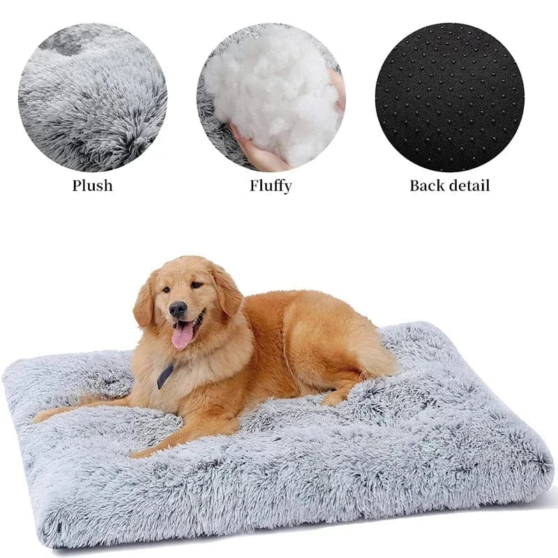 ZEDAPaw Super Soft Calming Cushion for Dogs, Cats & Puppies
