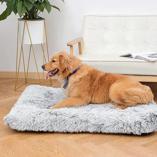 ZEDAPaw Super Soft Calming Cushion for Dogs, Cats & Puppies