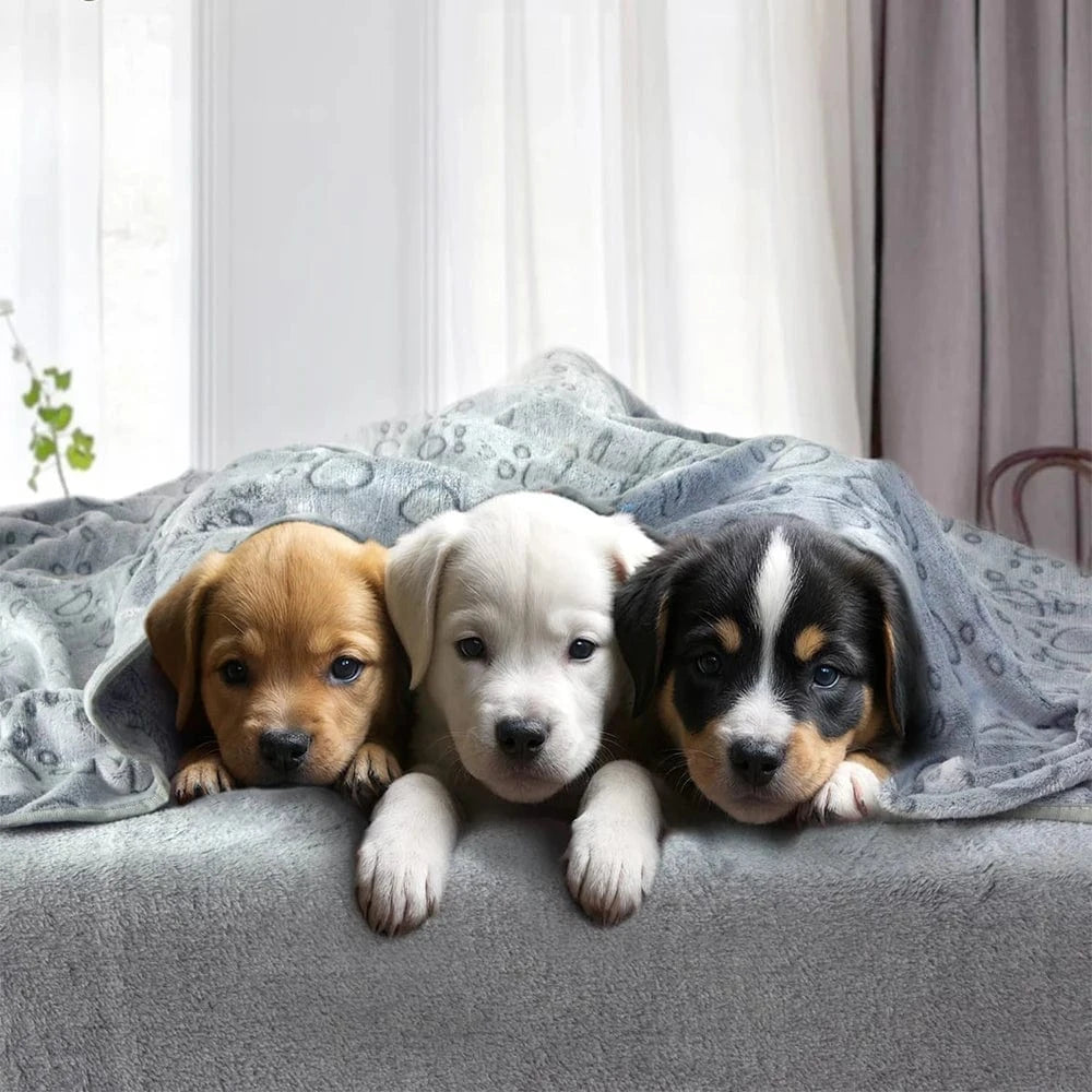ZEDAPaw Ultra-Soft Paw Print Pet Blanket